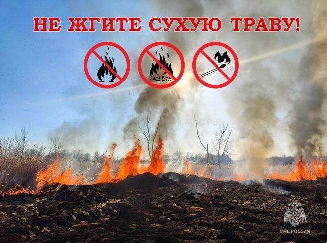 Не жгите сухую траву.