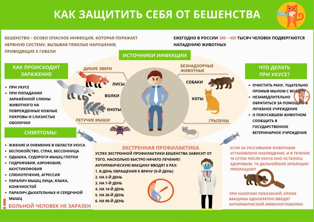 Осторожно бешенство.