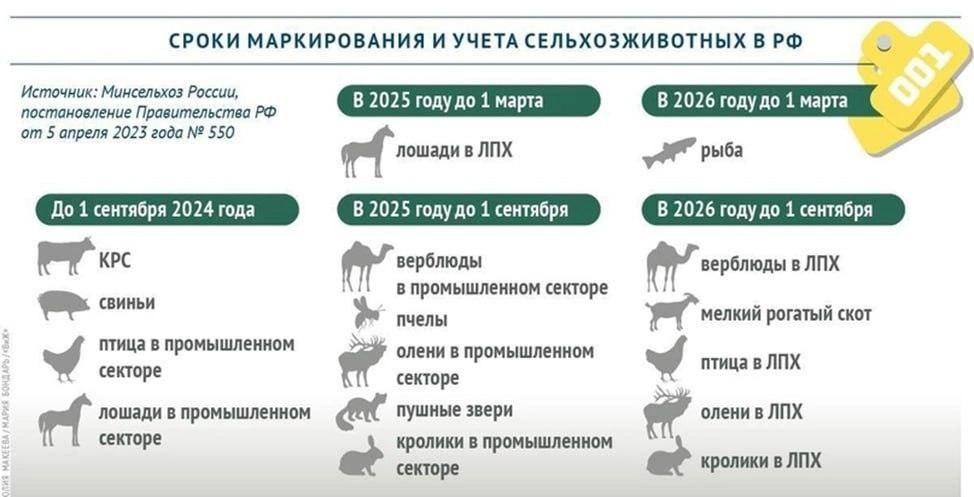 Доступ к цифровой системе для учета животных.