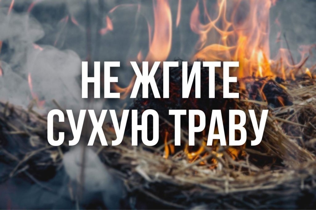 ️Не жгите сухую траву.