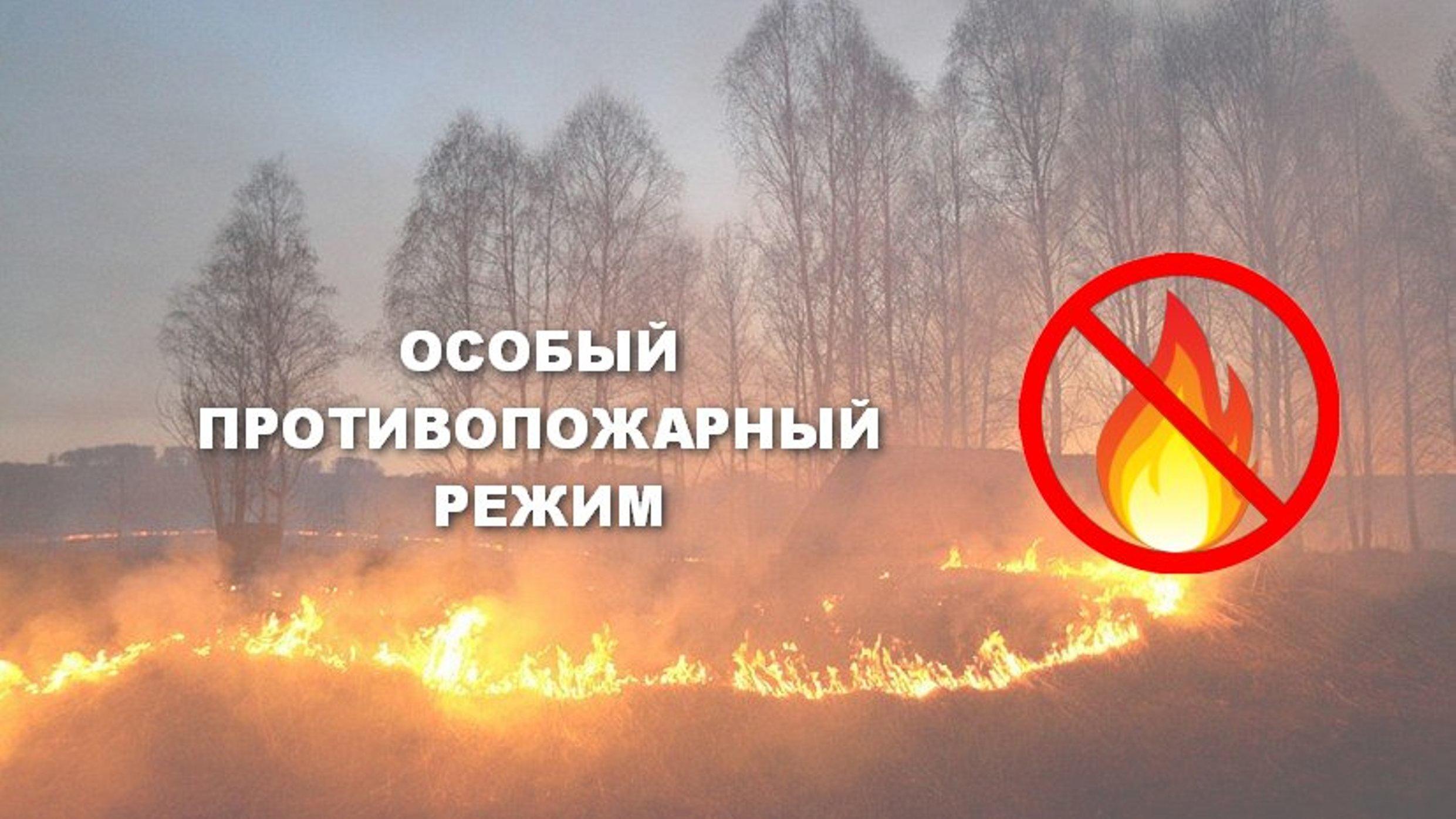 В Ульяновской области вводится особый противопожарный режим.