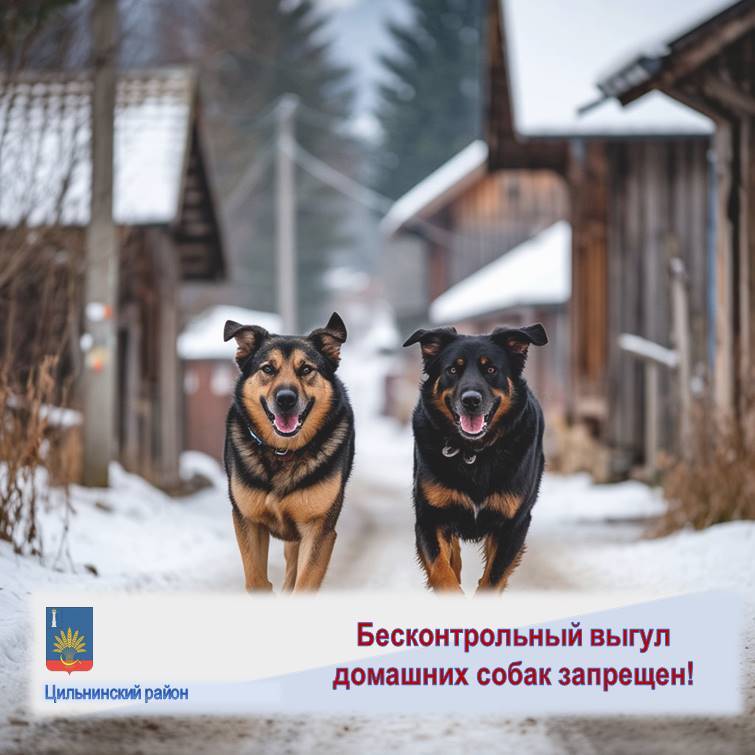 Бесконтрольный выгул домашних собак запрещен.