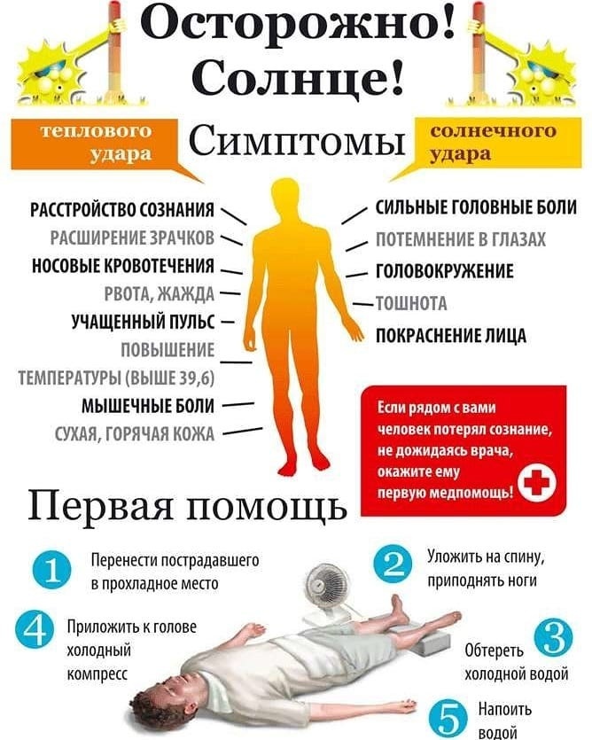 Правила поведения при сильной жаре.
