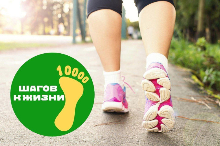 1000 шагов к жизни. 1000 шагов к жизни.