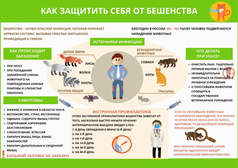 Осторожно бешенство. Осторожно бешенство.