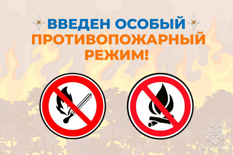 В регионе действует особый противопожарный режим. В регионе действует особый противопожарный режим.