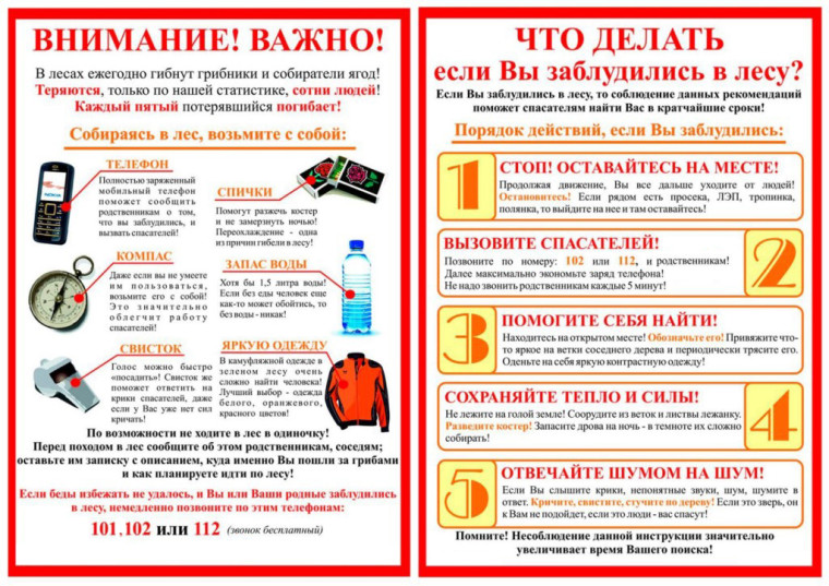 Если вы потерялись в лесу. Памятка. Если вы потерялись в лесу. Памятка.