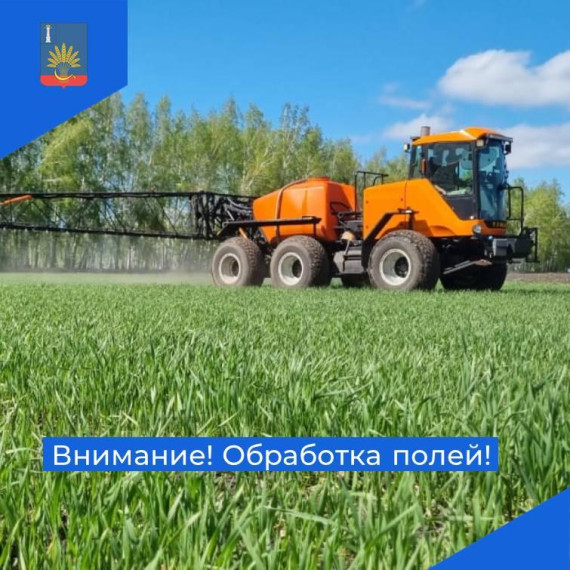 Обработка полей. Обработка полей.