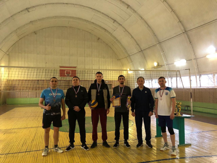 Прошел чемпионат Большенагатинского поселения по волейболу.